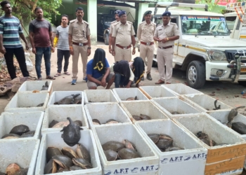 Turtle Smuggling in Malkangiri
