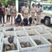 Turtle Smuggling in Malkangiri