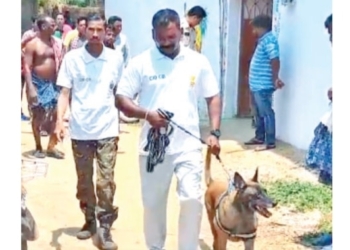 Bargarh Murder