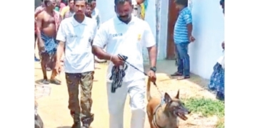 Bargarh Murder