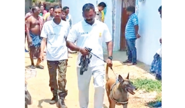 Bargarh Murder