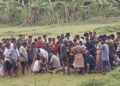 crocodile rescued Rajnagar Odisha