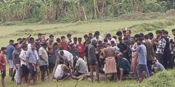 crocodile rescued Rajnagar Odisha