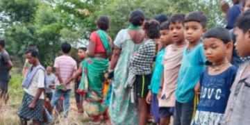Elephant Attack Kills Woman
