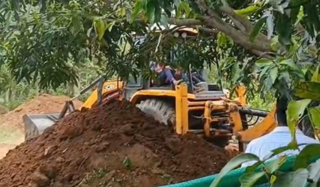 elephant electrocuted