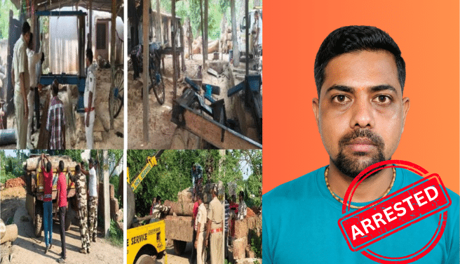 Vigilance illegal sawmill Kataka