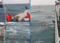 Coast Guard rescue operation off Mangaluru