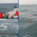 Coast Guard rescue operation off Mangaluru
