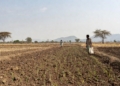 El Niño impact in Odisha