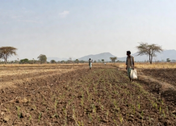 El Niño impact in Odisha