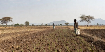 El Niño impact in Odisha