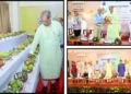 Odisha mango festival branding