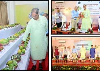 Odisha mango festival branding