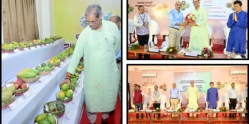 Odisha mango festival branding