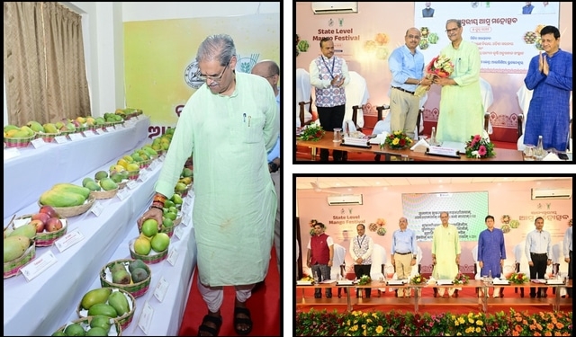 Odisha mango festival branding