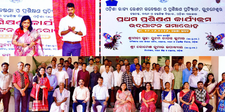 Tasar Host Plant Nursery Training Odisha