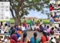 Odisha School Management Committees
