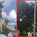 odisha vigilance led street lighting scam