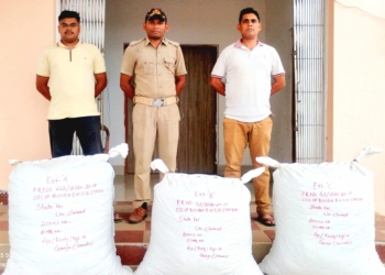 Boudhagada ganja seizure 2026