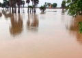 Odisha Flood Alert: Three Senior IAS Officers Deployed as Government Says Next 12 Hours Critical