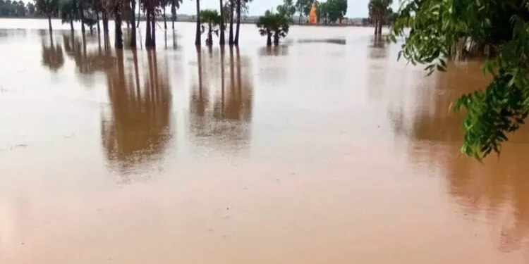 Odisha Flood Alert: Three Senior IAS Officers Deployed as Government Says Next 12 Hours Critical