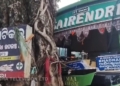 Bus Crashes into Tree