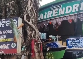 Bus Crashes into Tree