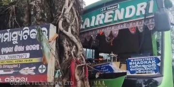 Bus Crashes into Tree