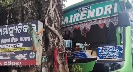 Bus Crashes into Tree