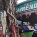 Bus Crashes into Tree