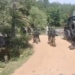 Lashkar terrorist killed in Shopian
