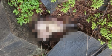 Missing Man’s Decomposed Body Found