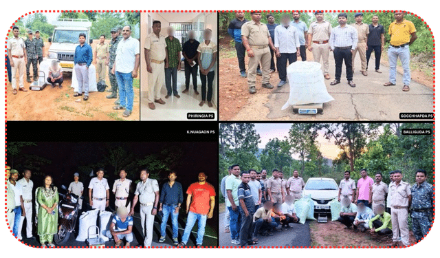 Odisha Police ganja destruction drive