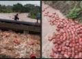 Raigad LPG cylinders flood