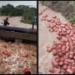 Raigad LPG cylinders flood