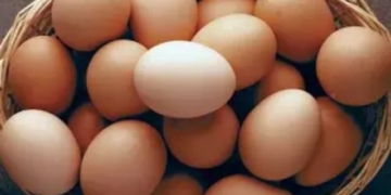 Odisha egg price hike