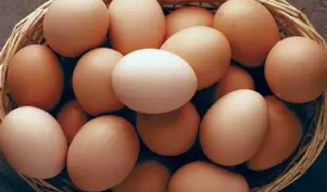 Odisha egg price hike