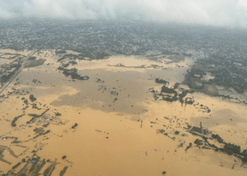 Odisha flood road repair order