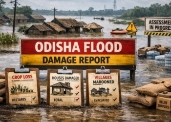Odisha floods damage assessment