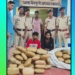 Ganja Seized
