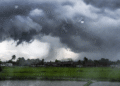 Odisha heavy rain warning