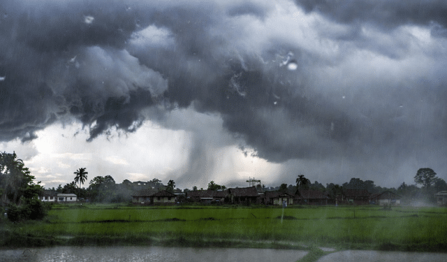 Odisha heavy rain warning