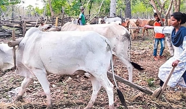 Lakshmi Maoist