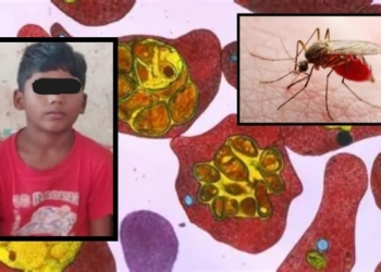 Malaria Death