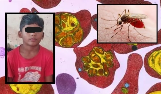 Malaria Death