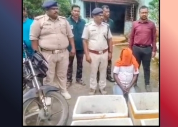 Malkangiri tortoise smuggling case