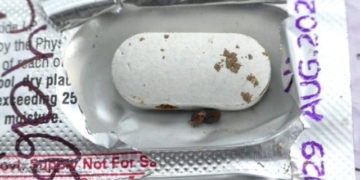 Insect Found in Antibiotic Strip
