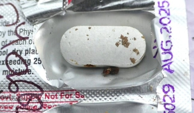 Insect Found in Antibiotic Strip