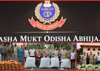 Odisha Police destroy seized ganja