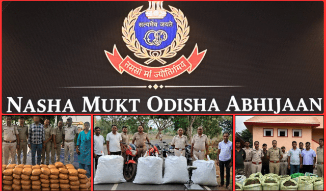 Odisha Police destroy seized ganja